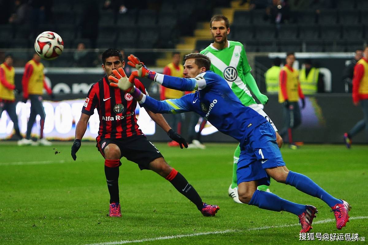 开云手机登录入口-法兰克福冠军赛公布提名名单